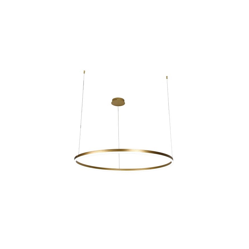 Dimmbare LED-Hängeleuchte LED/55W/230V 3000-6500K d 80 cm + Fernbedienung