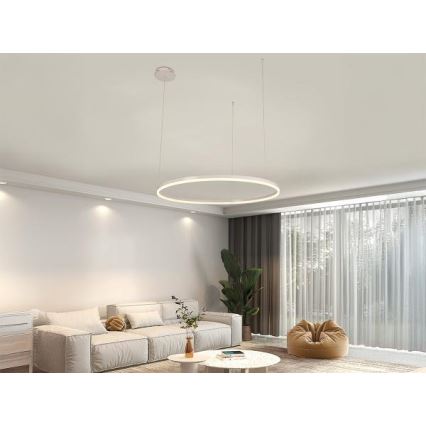 Dimmbare LED-Hängeleuchte LED/55W/230V 3000-6500K d 80 cm + Fernbedienung
