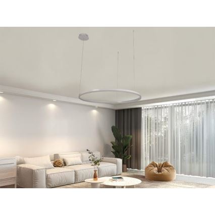 Dimmbare LED-Hängeleuchte LED/55W/230V 3000-6500K d 80 cm + Fernbedienung
