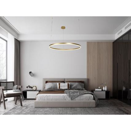 Dimmbare LED-Hängeleuchte LED/72W/230V 3000-6500K d 100 cm + Fernbedienung