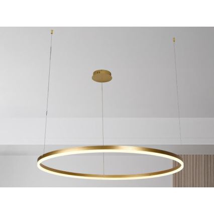 Dimmbare LED-Hängeleuchte LED/72W/230V 3000-6500K d 100 cm + Fernbedienung