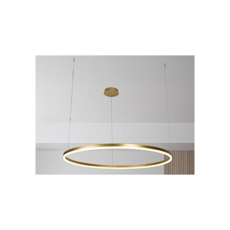 Dimmbare LED-Hängeleuchte LED/72W/230V 3000-6500K d 100 cm + Fernbedienung