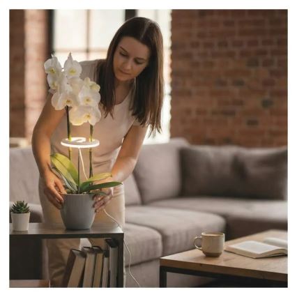 Dimmbare LED-Innenlampe zur Pflanzenaufzucht GROW LED/8W/5V