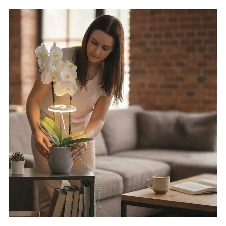 Dimmbare LED-Innenlampe zur Pflanzenaufzucht GROW LED/8W/5V