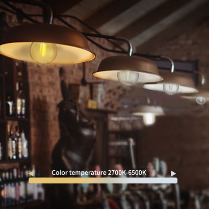 Dimmbare LED-Lampe FILAMENT G45 E14/4,5W/230V 2700-6500K Wi-Fi - Aigostar