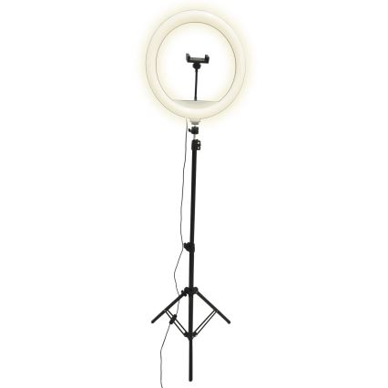 Dimmbare LED-Leuchte mit Stativ und Halterung für Vlogging LED/15W/5V 2700-6500K
