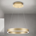Dimmbare LED-Pendelleuchte an Kabel KOLK LED/40W/230V 2700/3000/4000K Ø 40 cm goldfarben