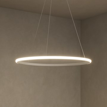 Dimmbare LED-Pendelleuchte mit Drahtseilaufhängung, 32 W, 230 V, 3000–6500 K, Ø 60 cm + Fernbedienung