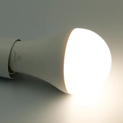 Dimmbare LED-RGBW-Glühlampe A60 E27/15W/230V 2700-6500K Wi-Fi Tuya