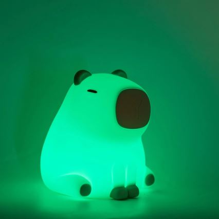 Dimmbare LED-RGBW-Kinderleuchte mit Touch-Funktion LED/1W/5V USB 1200 mAh Wasserschwein