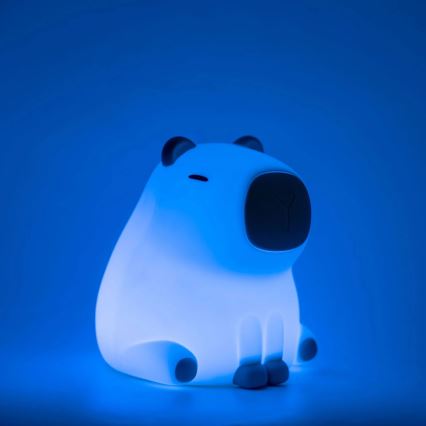Dimmbare LED-RGBW-Kinderleuchte mit Touch-Funktion LED/1W/5V USB 1200 mAh Wasserschwein