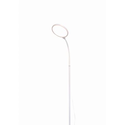 Dimmbare LED-Stehleuchte 2-in-1 LED/10W/230V weiß
