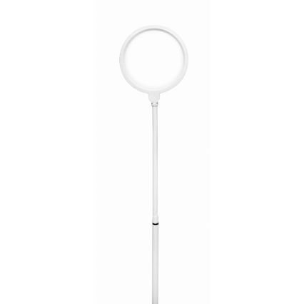 Dimmbare LED-Stehleuchte 2-in-1 LED/10W/230V weiß
