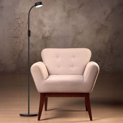Dimmbare LED-Touch-Stehleuchte BRUNO LED/3W/230V 3000/4000/6500K schwarz