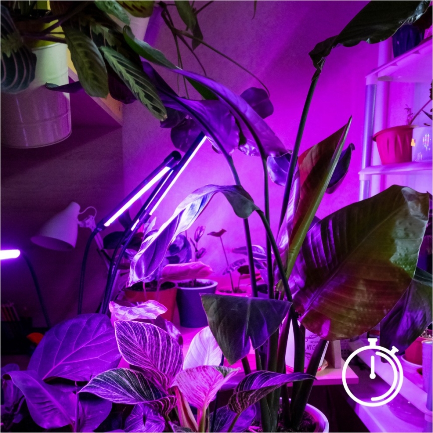 Dimmbare, flexible LED-Stehleuchte für die Pflanzenzucht VITARO 4xLED/7,5W/230V schwarz