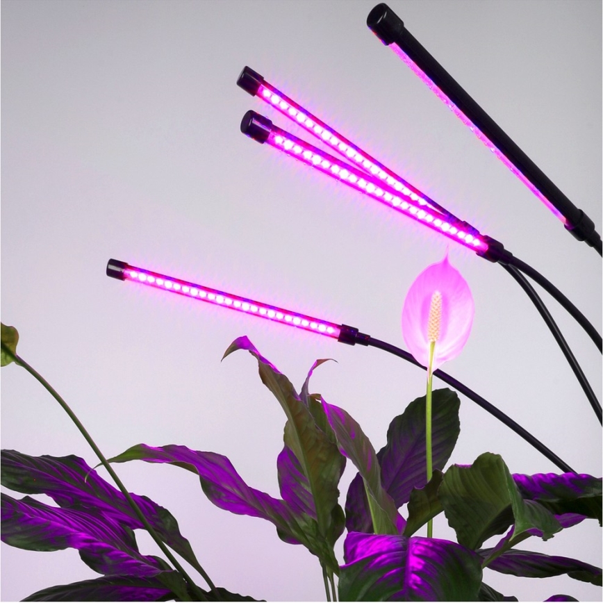 Dimmbare, flexible LED-Stehleuchte für die Pflanzenzucht VITARO 4xLED/7,5W/230V schwarz