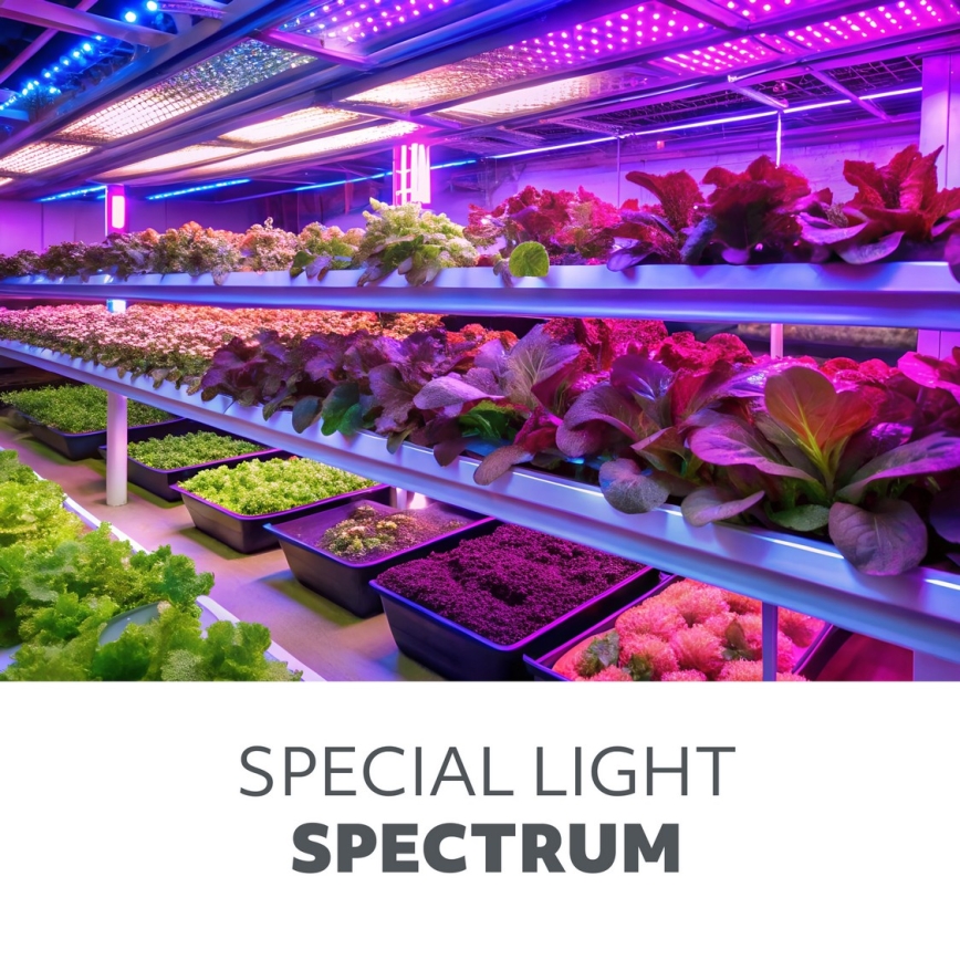 Dimmbare, flexible LED-Stehleuchte für die Pflanzenzucht VITARO 4xLED/7,5W/230V schwarz