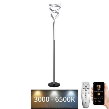 Dimmbare LED-Stehleuchte LED/50W/230V 3000-6500K anthrazit + Fernbedienung