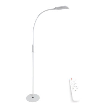 Dimmbare LED-Stehleuchte LED/9W/230V 3000-6500K weiß + Fernbedienung