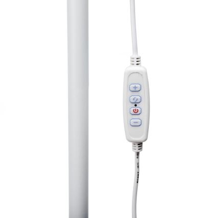 Dimmbare LED-Stehleuchte SIGNUS LED/10W/230V 3000/4500/6500K weiß