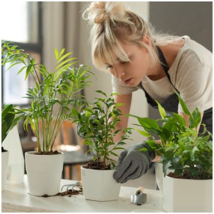 Dimmbare LED-Tischlampe zur Pflanzenzucht VERDI LED/5W/5V 1300K CRI 95 weiß