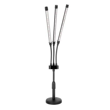 Dimmbare flexible LED-Tischleuchte mit Klemme für die Pflanzenzucht VITARO 3xLED/10W/230V schwarz