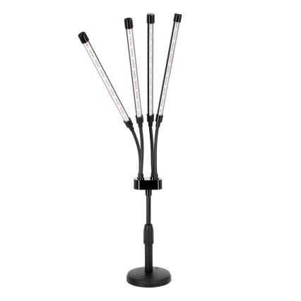 Dimmbare und flexible LED-Tischleuchte für die Pflanzenzucht VITARO 4xLED/10W/230V schwarz