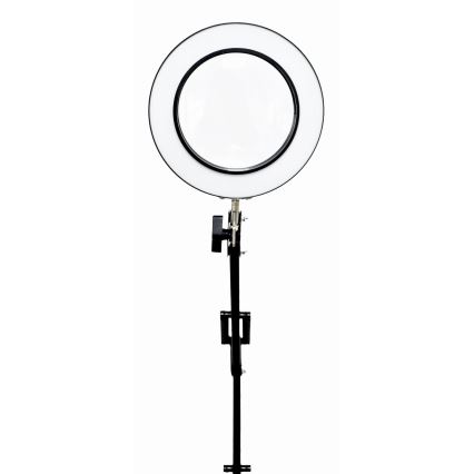 Dimmbare LED-Tischleuchte mit Vergrößerungsglas LED/10W/230V 3000/4500/6000K