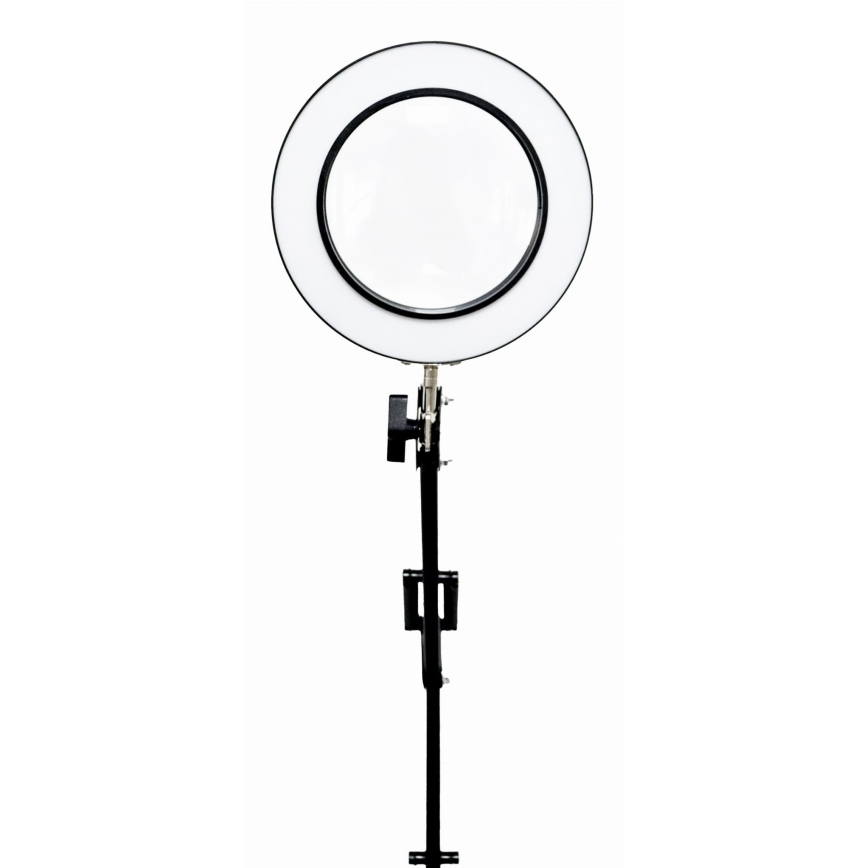 Dimmbare LED-Tischleuchte mit Vergrößerungsglas LED/10W/230V 3000/4500/6000K