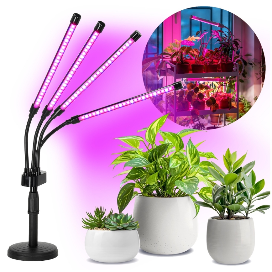 Dimmbare und flexible LED-Tischleuchte für die Pflanzenzucht VITARO 4xLED/10W/230V schwarz