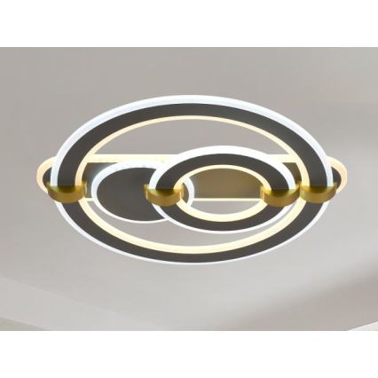 Dimmbares LED-Deckenlicht, 120W/230V, 3000-6500K + Fernbedienung