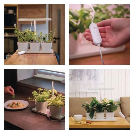 Dimmbares LED-Zuchtlicht für den Innenbereich GROW LED/7W/5V