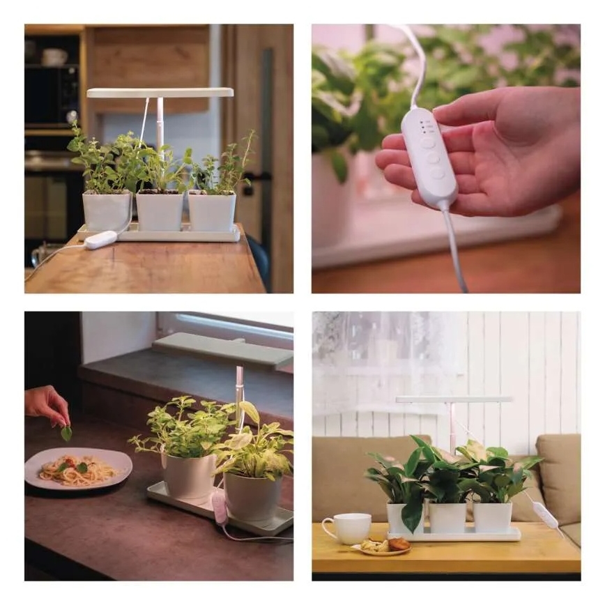 Dimmbares LED-Zuchtlicht für den Innenbereich GROW LED/7W/5V