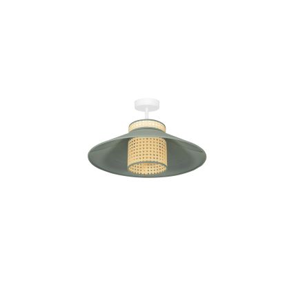 Duolla - Aufbauleuchte RIO RATTAN 1xE27/15W/230V d 45 cm grün/Rattan