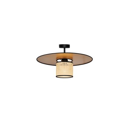 Duolla - Aufbauleuchte TOKYO RATTAN 1xE27/15W/230V d 50 cm golden/Rattan