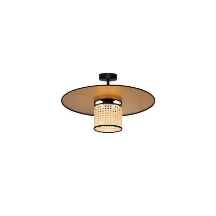 Duolla - Aufbauleuchte TOKYO RATTAN 1xE27/15W/230V d 50 cm golden/Rattan
