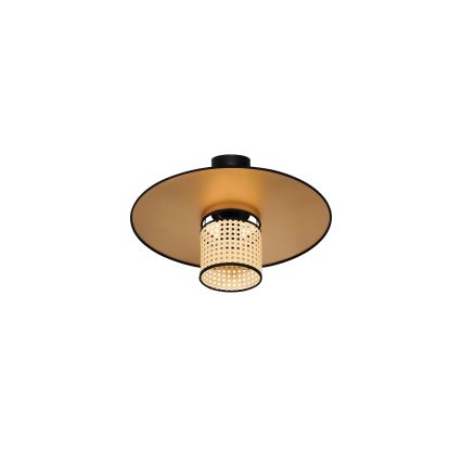 Duolla - Aufbauleuchte TOKYO RATTAN 1xE27/15W/230V d 50 cm golden/Rattan