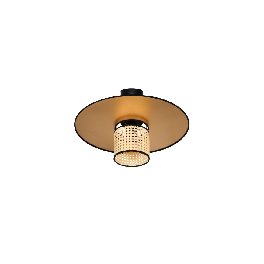 Duolla - Aufbauleuchte TOKYO RATTAN 1xE27/15W/230V d 50 cm golden/Rattan