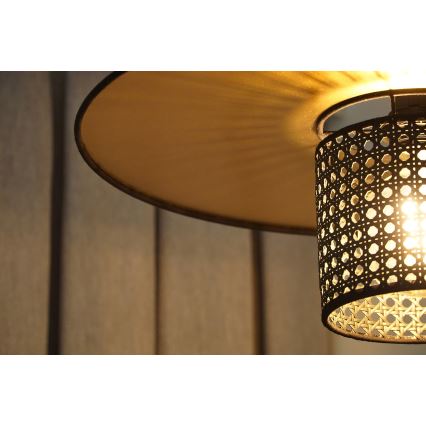 Duolla - Aufbauleuchte TOKYO RATTAN 1xE27/15W/230V d 50 cm golden/schwarz