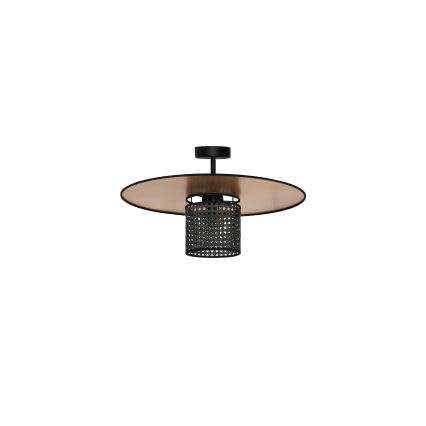 Duolla - Aufbauleuchte TOKYO RATTAN 1xE27/15W/230V d 50 cm golden/schwarz