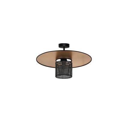Duolla - Aufbauleuchte TOKYO RATTAN 1xE27/15W/230V d 50 cm golden/schwarz