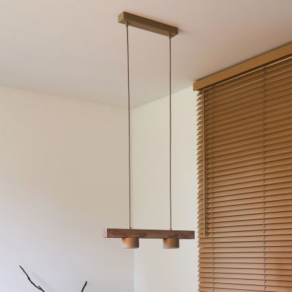 Duolla - Hängeleuchte an Kabel IRONLINE 2xGX53/3W/230V Kiefer Eiche/beige