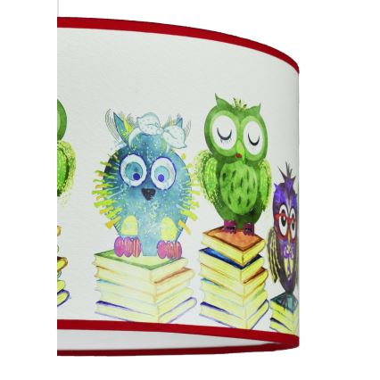 Duolla - Kinder-Hängeleuchte OWL 1xE27/15W/230V d 35 cm