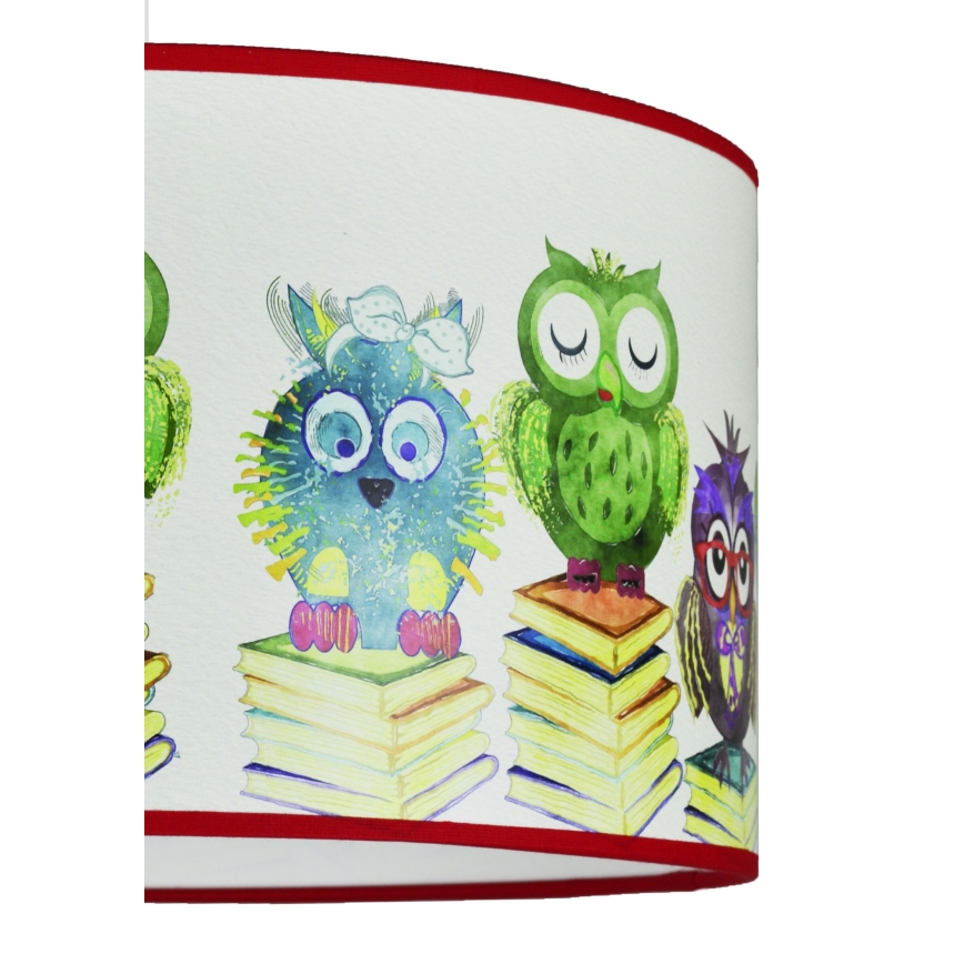 Duolla - Kinder-Hängeleuchte OWL 1xE27/15W/230V d 35 cm