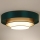Duolla - LED-Deckenleuchte LUNETA LED/26W/230V d 60 cm 4000K grün/golden/weiß