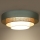 Duolla - LED-Deckenleuchte LUNETA LED/26W/230V d 60 cm 4000K türkisfarben/beige/cremefarben