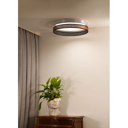 Duolla - LED-Deckenleuchte ROLLER DUO SHINY LED/24W/230V d 45 cm weiß/kupfern