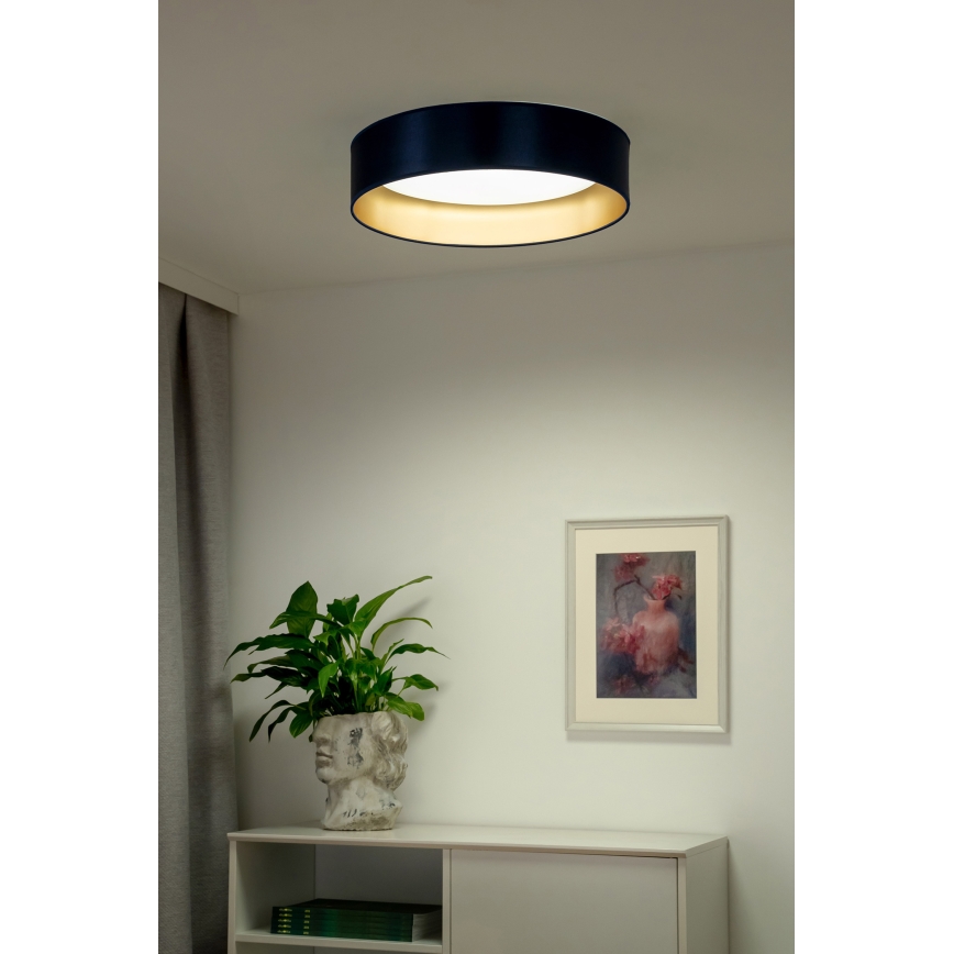 Duolla - LED-Deckenleuchte ROLLER LED/24W/230V d 45 cm blau/golden