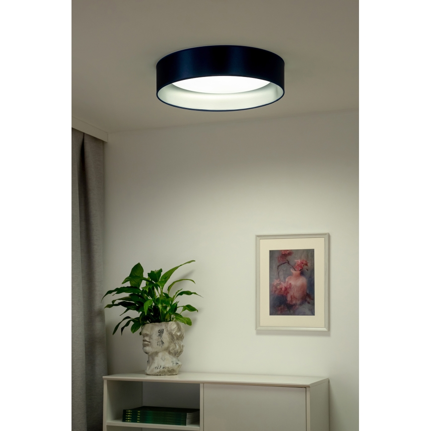 Duolla - LED-Deckenleuchte ROLLER LED/24W/230V d 45 cm blau/silbern