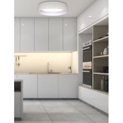 Duolla - LED-Deckenleuchte ROLLER LED/24W/230V d 45 cm cremefarben